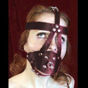 Harness Gag With Chin Strap