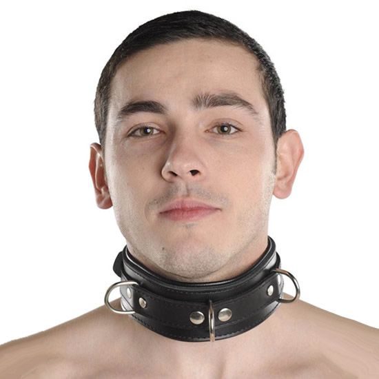 Padded Neck Collar With D Rings
