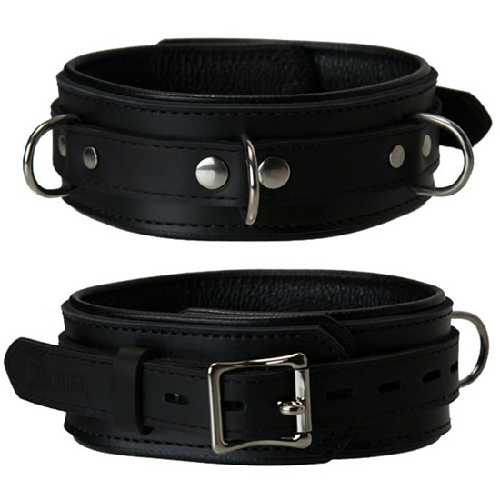 Padded Neck Collar With D Rings