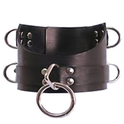 High Neck Collar With Attachment Rings
