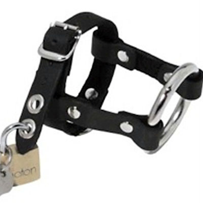 Locking Cock and Ball Ring / Cock Ring Chastity Belt Combination