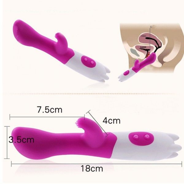 Pink Passion G-Spot And Clitoris Vibe