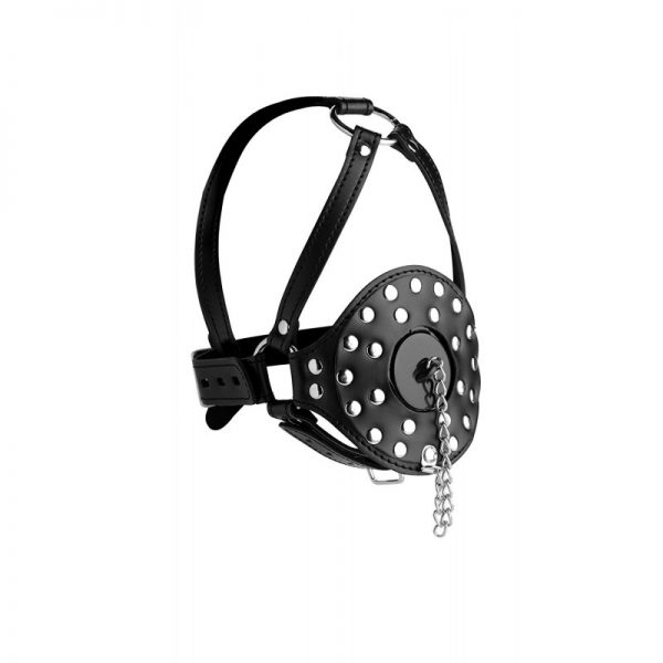 Drool Plug Gag With Lockable Head Harness