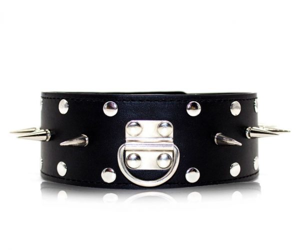 Spiked Neck Collar With Detachable Leash