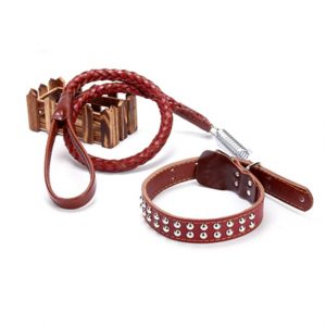 Collar And Leash With Traction Spring