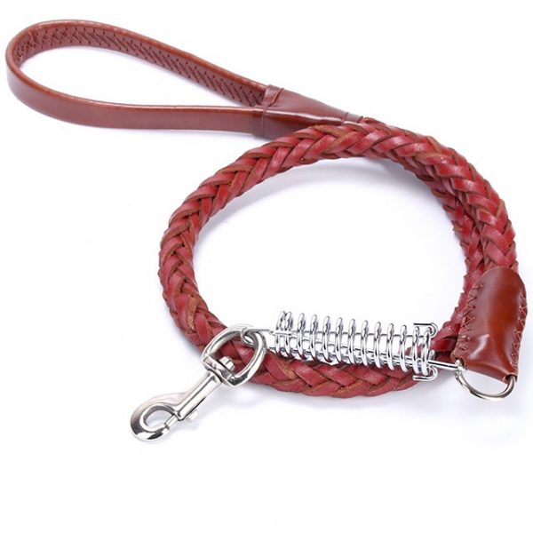 Collar And Leash With Traction Spring
