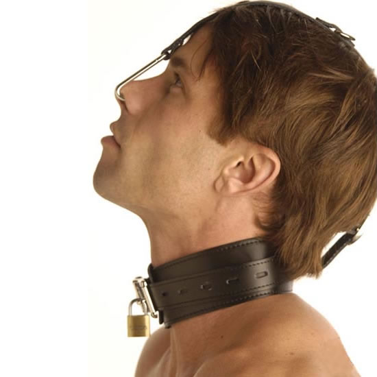 Neck Collar With Nose Hook Restraint Attachment