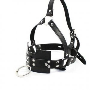 Harness Trainer Ball Gag with O-Ring Veil